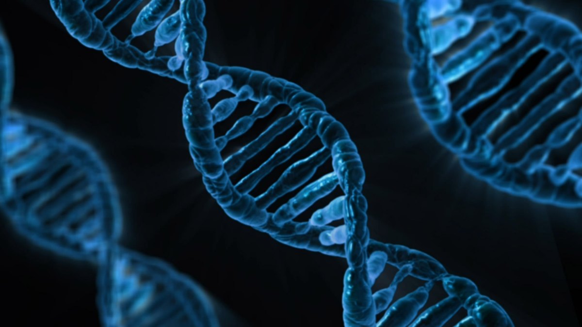 DNA double helix — the molecular medium of DNA data storage, where digital bits are encoded in the bases A, C, G and T; a Panacea Bio Chem research feature by Bogdan Dicoias